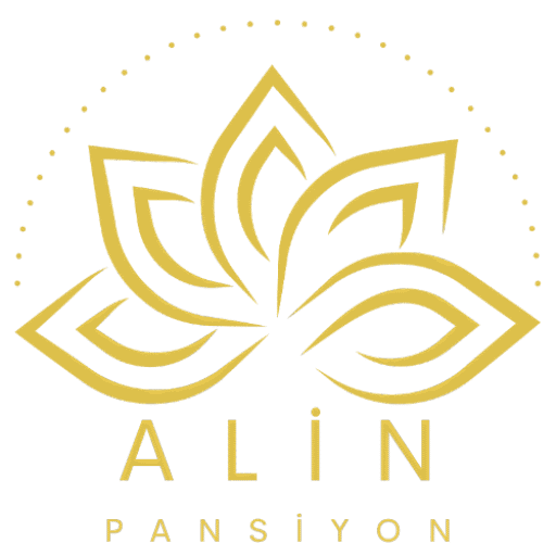 alin pansiyon favicon